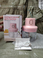 Mini Garlic Chopper 250ml Electric Vegetable Chopper