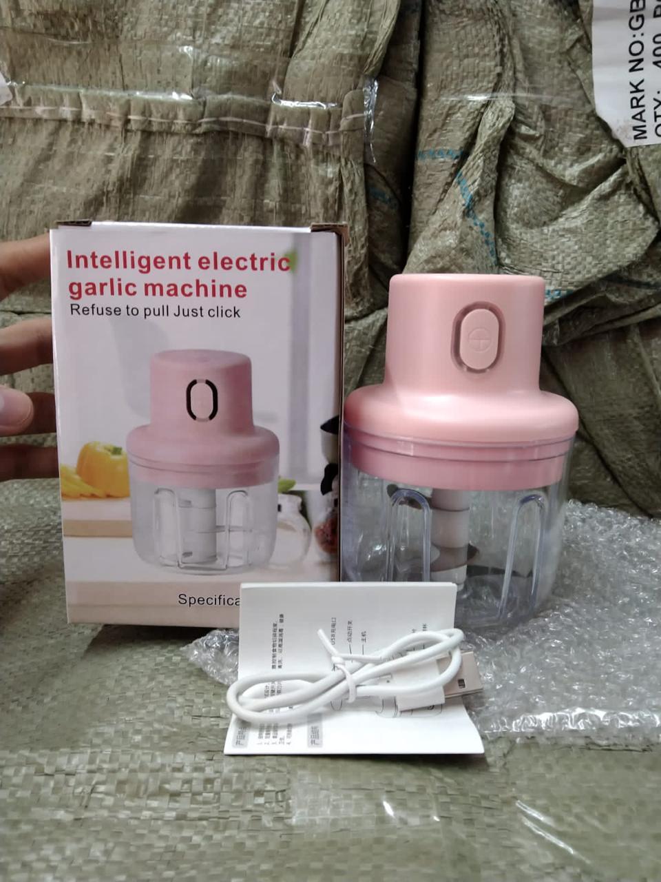 Mini Garlic Chopper 250ml Electric Vegetable Chopper