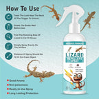 Lizard Repellent Spray – Pack of 2 | Natural, Chemical-Free & Family Safe