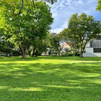 Grow Lush Lawns Fast – Hybrid Grass Seeds for Beautiful Home Gardens